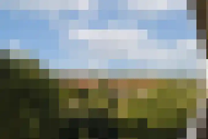Wipmolen 79 Amsterdam thumbnail 6