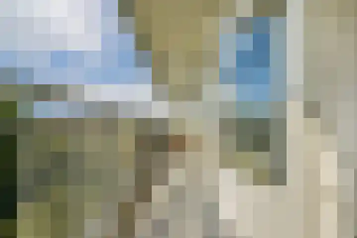 Wipmolen 79 Amsterdam thumbnail 8