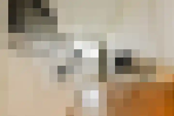 Wipmolen 79 Amsterdam thumbnail 9