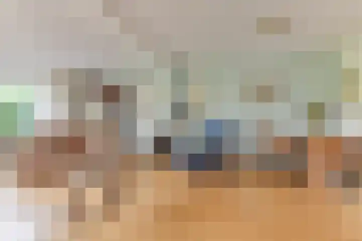 Wipmolen 8 Noord-Scharwoude thumbnail 10