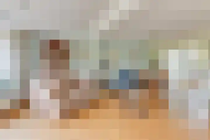 Wipmolen 8 Noord-Scharwoude thumbnail 11