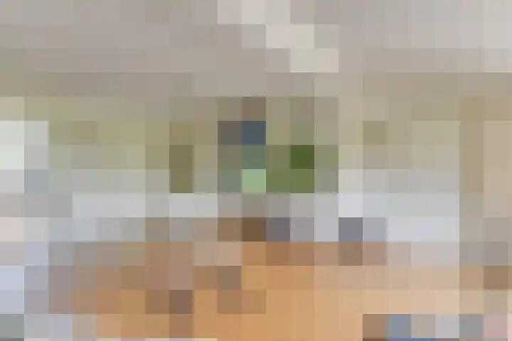 Wipmolen 8 Noord-Scharwoude thumbnail 12
