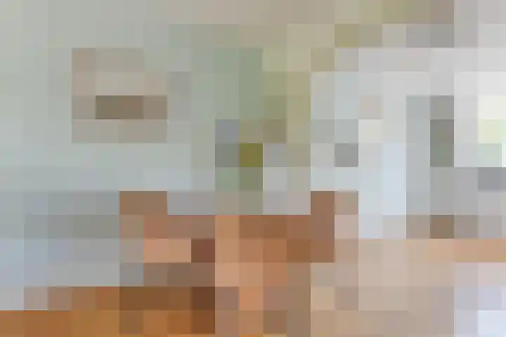 Wipmolen 8 Noord-Scharwoude thumbnail 15