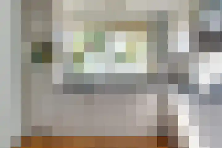 Wipmolen 8 Noord-Scharwoude thumbnail 17