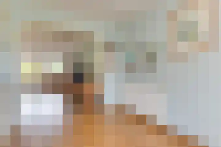 Wipmolen 8 Noord-Scharwoude thumbnail 19