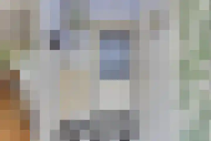 Wipmolen 8 Noord-Scharwoude thumbnail 20