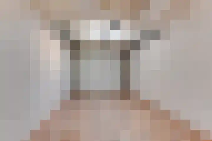 Wipmolen 8 Noord-Scharwoude thumbnail 22