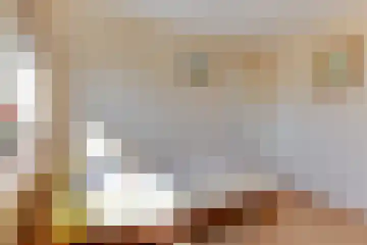 Wipmolen 8 Noord-Scharwoude thumbnail 25