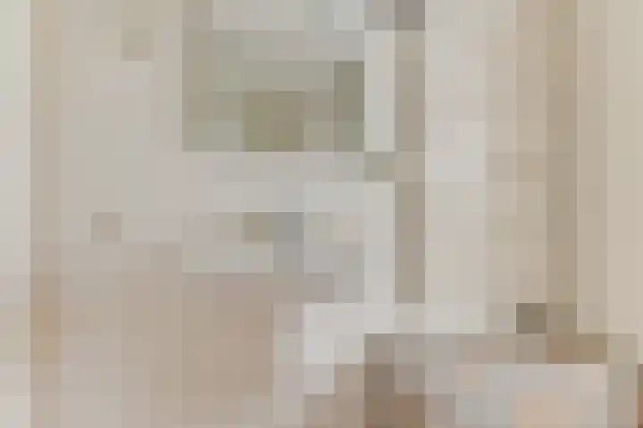 Wipmolen 8 Noord-Scharwoude thumbnail 30