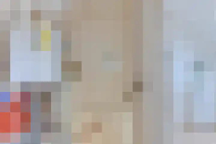 Wipmolen 8 Noord-Scharwoude thumbnail 32