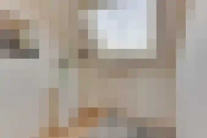 Wipmolen 8 Noord-Scharwoude thumbnail 33