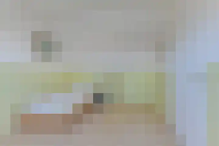 Wipmolen 8 Noord-Scharwoude thumbnail 35