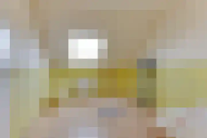 Wipmolen 8 Noord-Scharwoude thumbnail 36