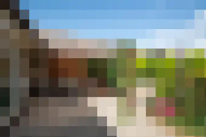 Wipmolen 8 Noord-Scharwoude thumbnail 38