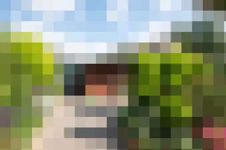 Wipmolen 8 Noord-Scharwoude thumbnail 39