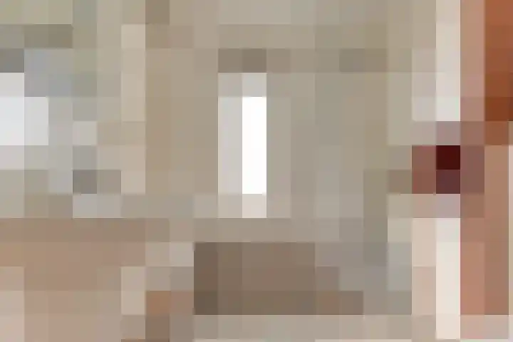 Wipmolen 8 Noord-Scharwoude thumbnail 4