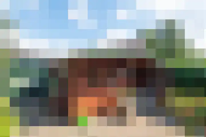 Wipmolen 8 Noord-Scharwoude thumbnail 40