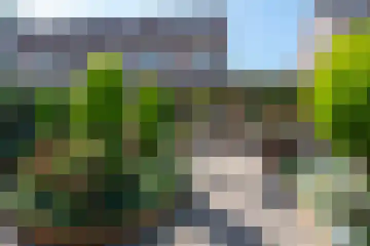 Wipmolen 8 Noord-Scharwoude thumbnail 41