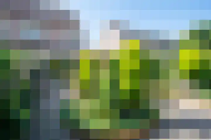 Wipmolen 8 Noord-Scharwoude thumbnail 42
