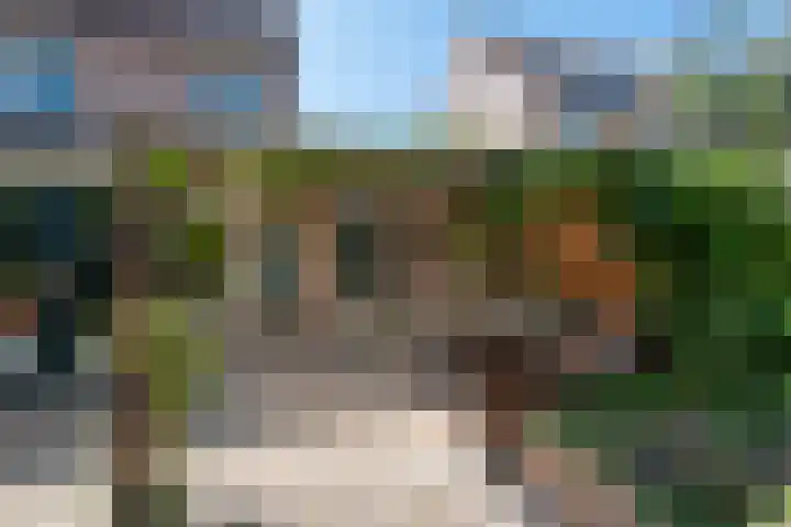 Wipmolen 8 Noord-Scharwoude thumbnail 43