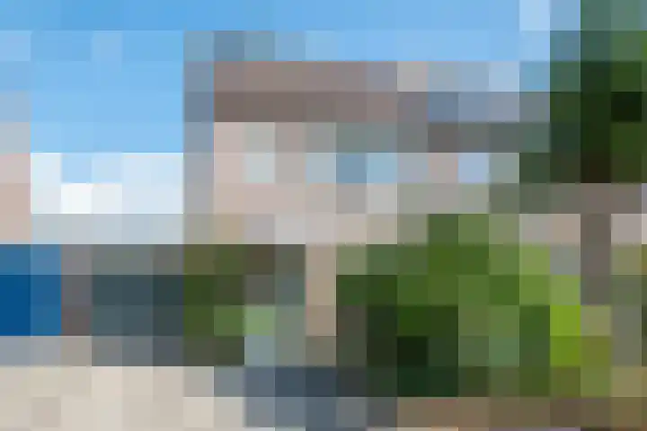 Wipmolen 8 Noord-Scharwoude thumbnail 45