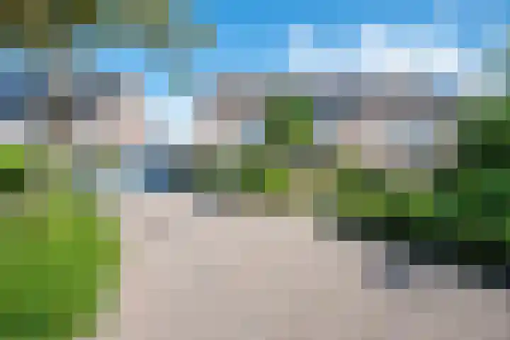 Wipmolen 8 Noord-Scharwoude thumbnail 47