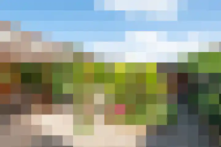 Wipmolen 8 Noord-Scharwoude thumbnail 6
