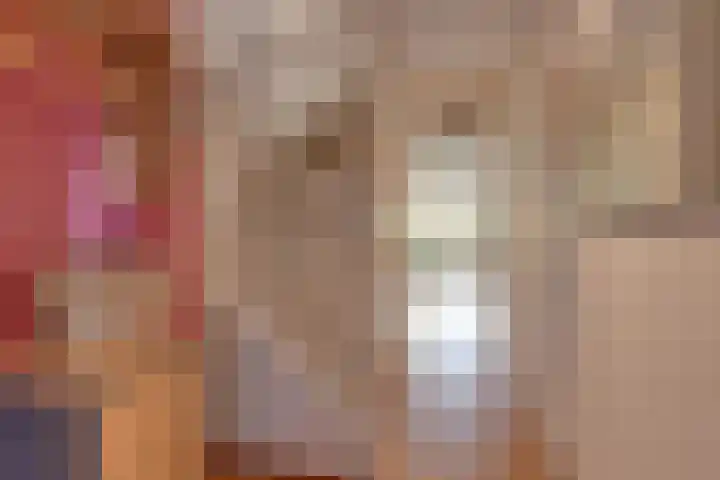 Wipmolen 8 Noord-Scharwoude thumbnail 8