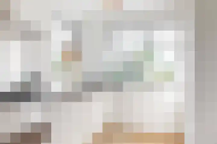 Wipmolen 9 Groot-Ammers thumbnail 11