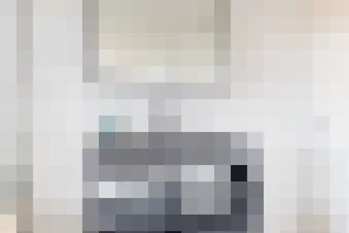 Wipmolen 9 Groot-Ammers thumbnail 19