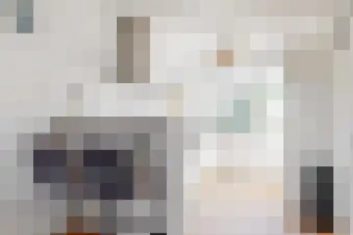 Wipmolen 9 Groot-Ammers foto 2