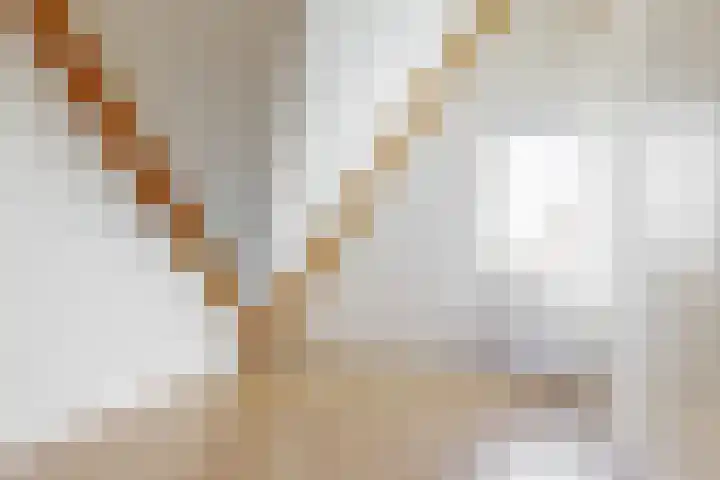 Wipmolen 9 Groot-Ammers thumbnail 24