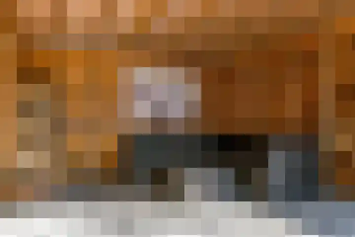 Wipmolen 9 Groot-Ammers thumbnail 26