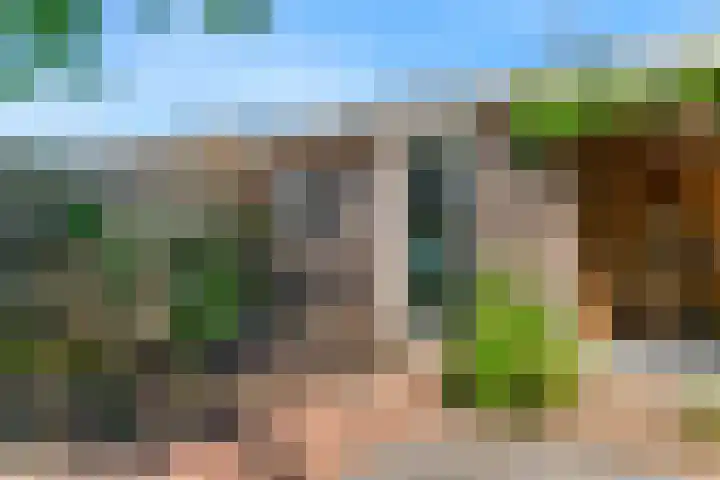 Wipmolen 9 Groot-Ammers thumbnail 27