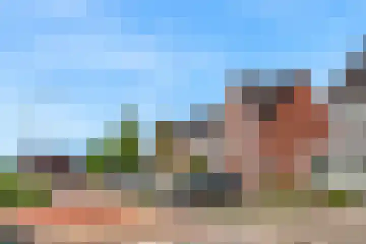 Wipmolen 9 Groot-Ammers thumbnail 30