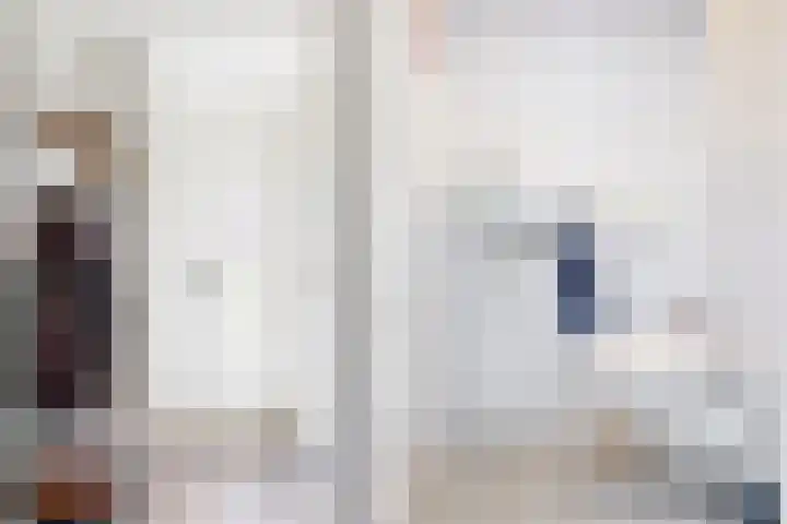 Wipmolen 9 Groot-Ammers thumbnail 5