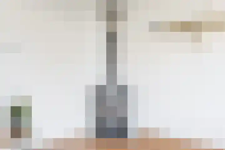 Wipmolen 9 Groot-Ammers thumbnail 9