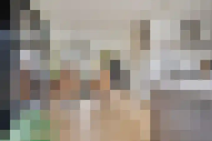 Wipmolen 94 Papendrecht thumbnail 12