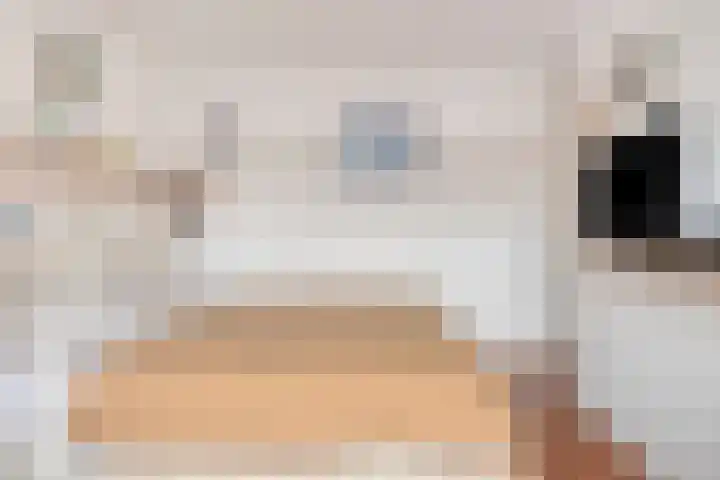 Wipmolen 94 Papendrecht thumbnail 21
