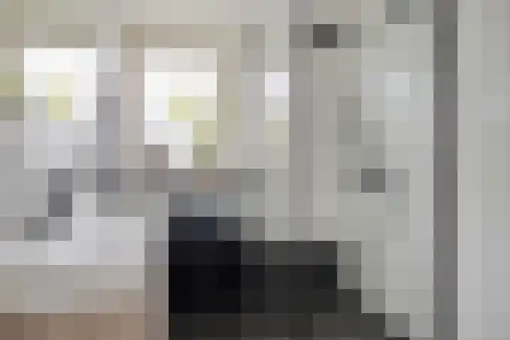 Wipmolen 94 Papendrecht thumbnail 26