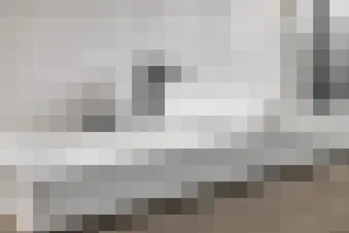 Wipmolen 94 Papendrecht thumbnail 27