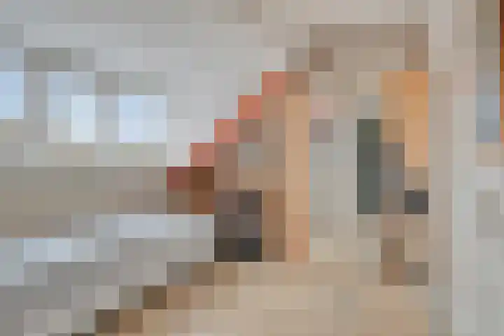Wipmolen 94 Papendrecht thumbnail 31