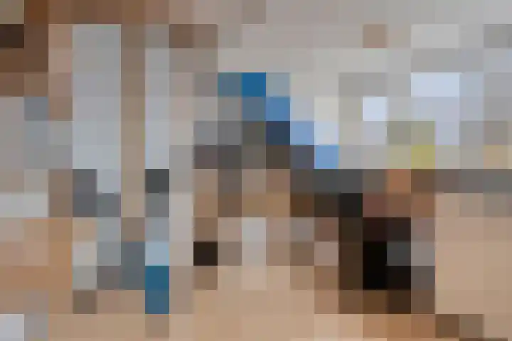Wipmolen 94 Papendrecht thumbnail 33