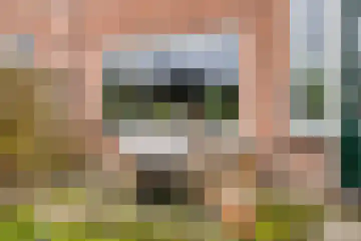 Wipmolen 94 Papendrecht thumbnail 35