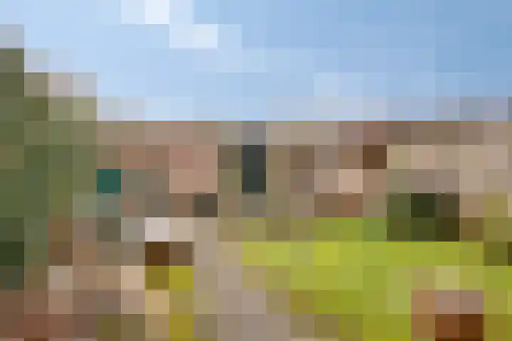 Wipmolen 94 Papendrecht thumbnail 36