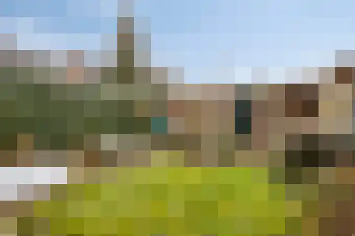 Wipmolen 94 Papendrecht thumbnail 37