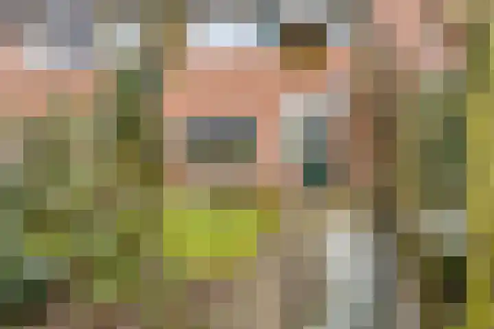 Wipmolen 94 Papendrecht thumbnail 38