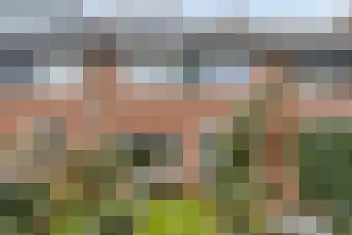 Wipmolen 94 Papendrecht thumbnail 39