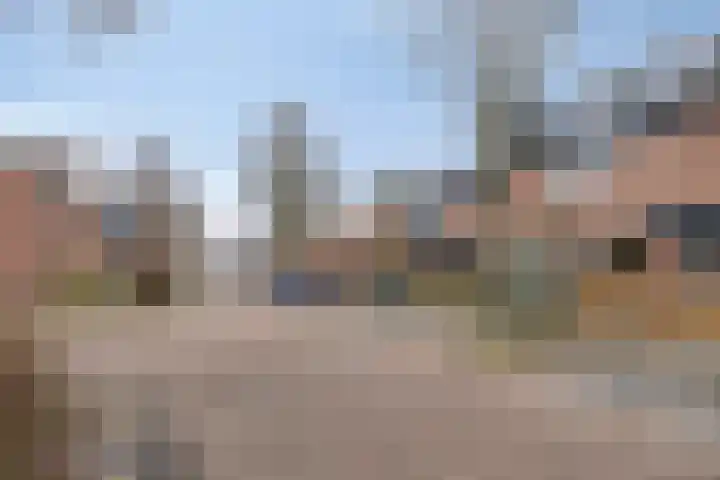 Wipmolen 94 Papendrecht thumbnail 42