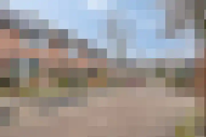 Wipmolen 94 Papendrecht thumbnail 43